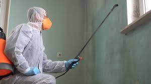 Best Commercial Mold Inspection  in Prophetstown, IL